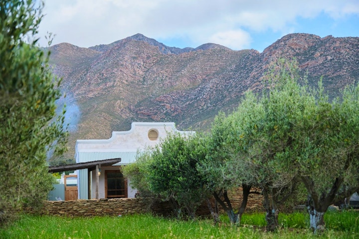 Western Cape Accommodation at Olive Stone Farm and Cottages | Viya