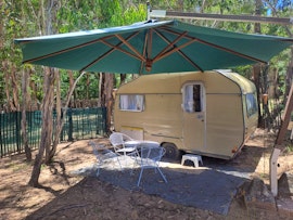 Free State Accommodation at De Hoop Forest Camp | Viya