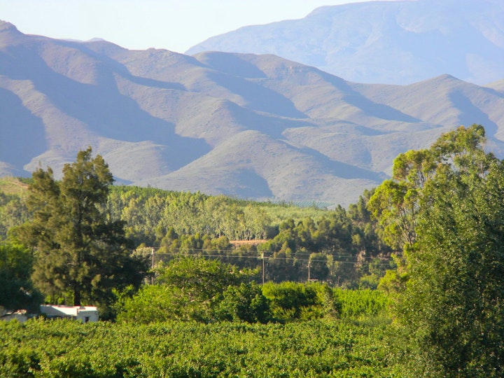 Cape Winelands Accommodation at Klaasvoogds Opstal | Viya