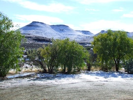 Northern Cape Accommodation at Dassiekloof Gasteplaas | Viya