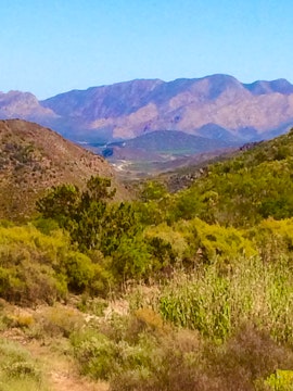 Western Cape Accommodation at Tibani Nature Reserve | Viya