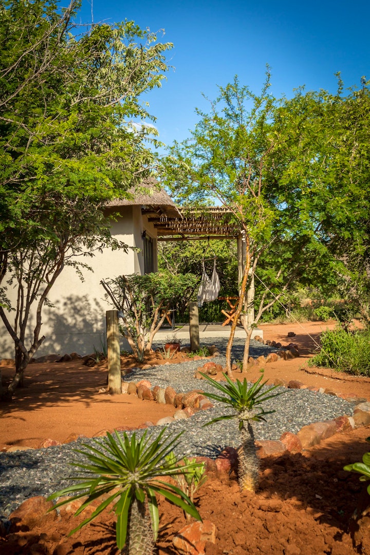 Limpopo Accommodation at Ukuthula Bush Lodge | Viya