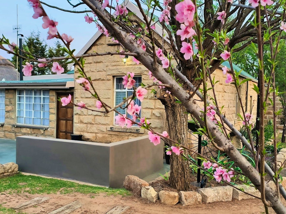 Drakensberg Accommodation at  | Viya