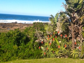 Sunshine Coast Accommodation at Ocean View Self-Catering | Viya