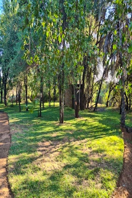 Soutpansberg Mountains Accommodation at  | Viya