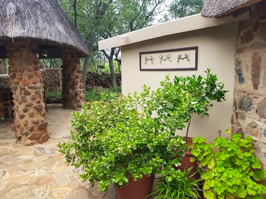 Cradle Of Humankind Accommodation at  | Viya