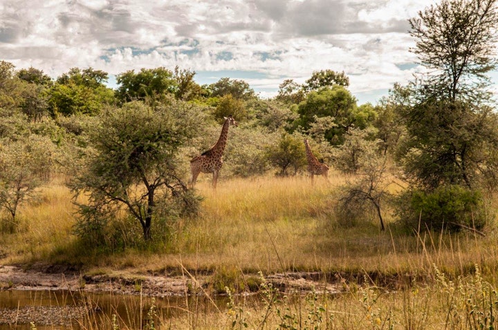 Limpopo Accommodation at Ons Wegkruip Plekkie @ Leeupoort | Viya