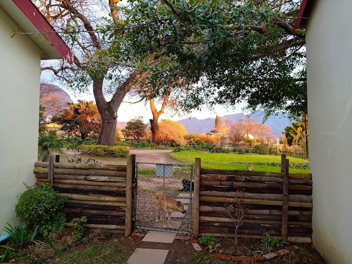 Western Cape Accommodation at The Olive and Vine Farm Cottage | Viya