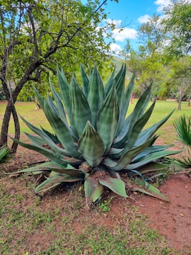 Waterberg Accommodation at  | Viya