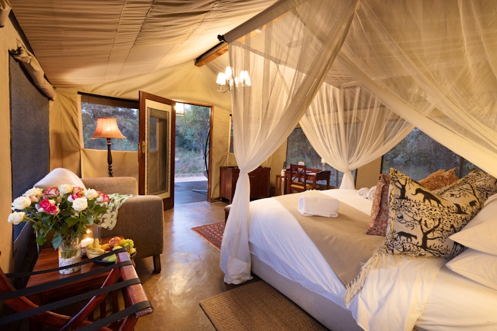 Limpopo Accommodation at Safari Plains | Viya