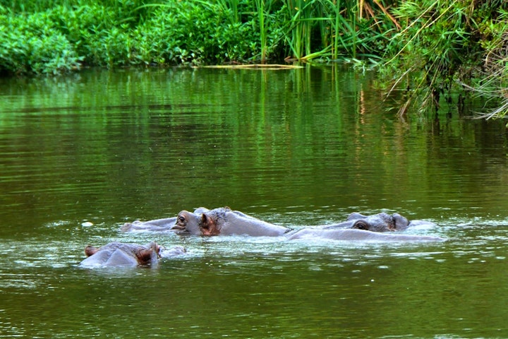 Panorama Route Accommodation at Kruger Park Lodge Unit No. 608B | Viya