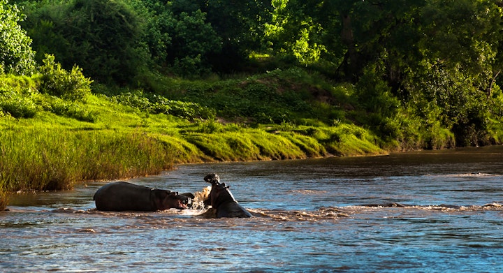 Limpopo Accommodation at Maninghi Lodge | Viya