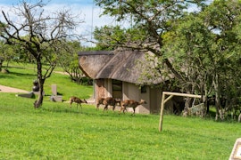 Mpumalanga Accommodation at  | Viya