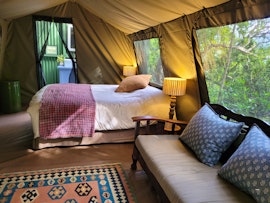 Garden Route Accommodation at Forest Glamping | Viya