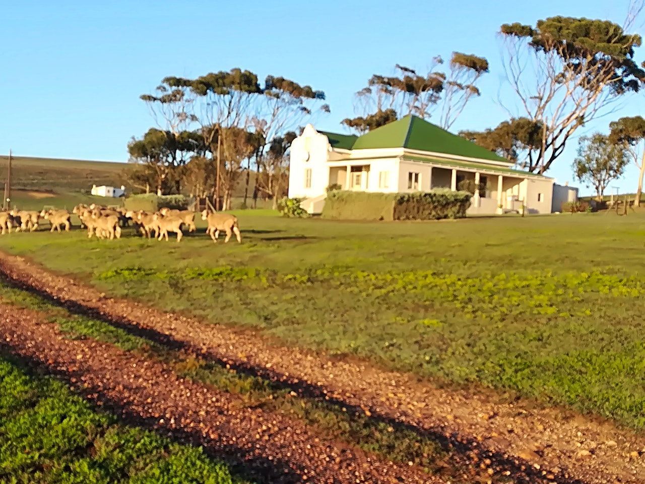 Overberg Accommodation at  | Viya