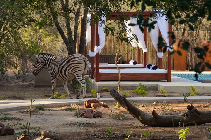 Mpumalanga Accommodation at Bushbaby River Lodge | Viya