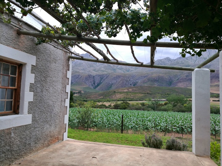 Western Cape Accommodation at Meraki Cottage | Viya
