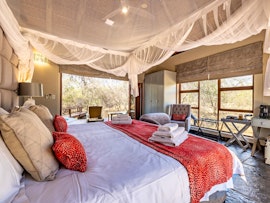 Hoedspruit Accommodation at  | Viya