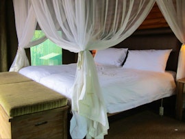 Limpopo Accommodation at  | Viya