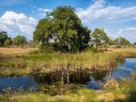 Namibia Accommodation at Nkasa Lupala Tented Lodge | Viya