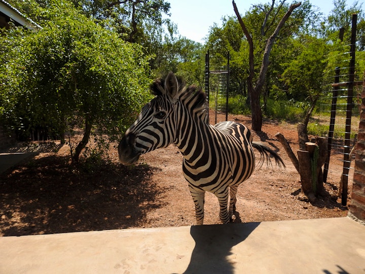 Kruger National Park South Accommodation at Kruger’s Retreat and Rest | Viya