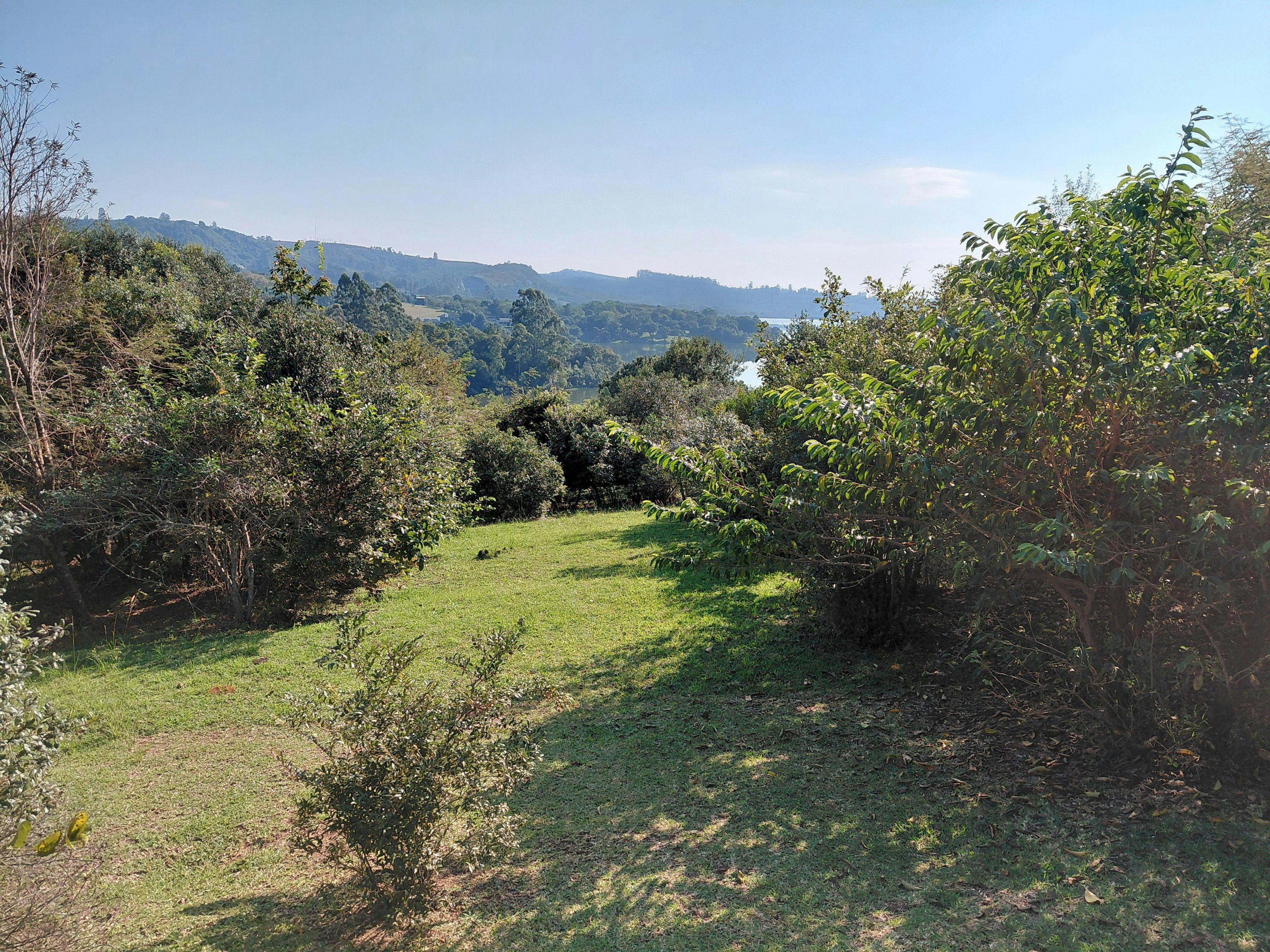 Sickle Bush Da Gama Lake image no 20 of 20