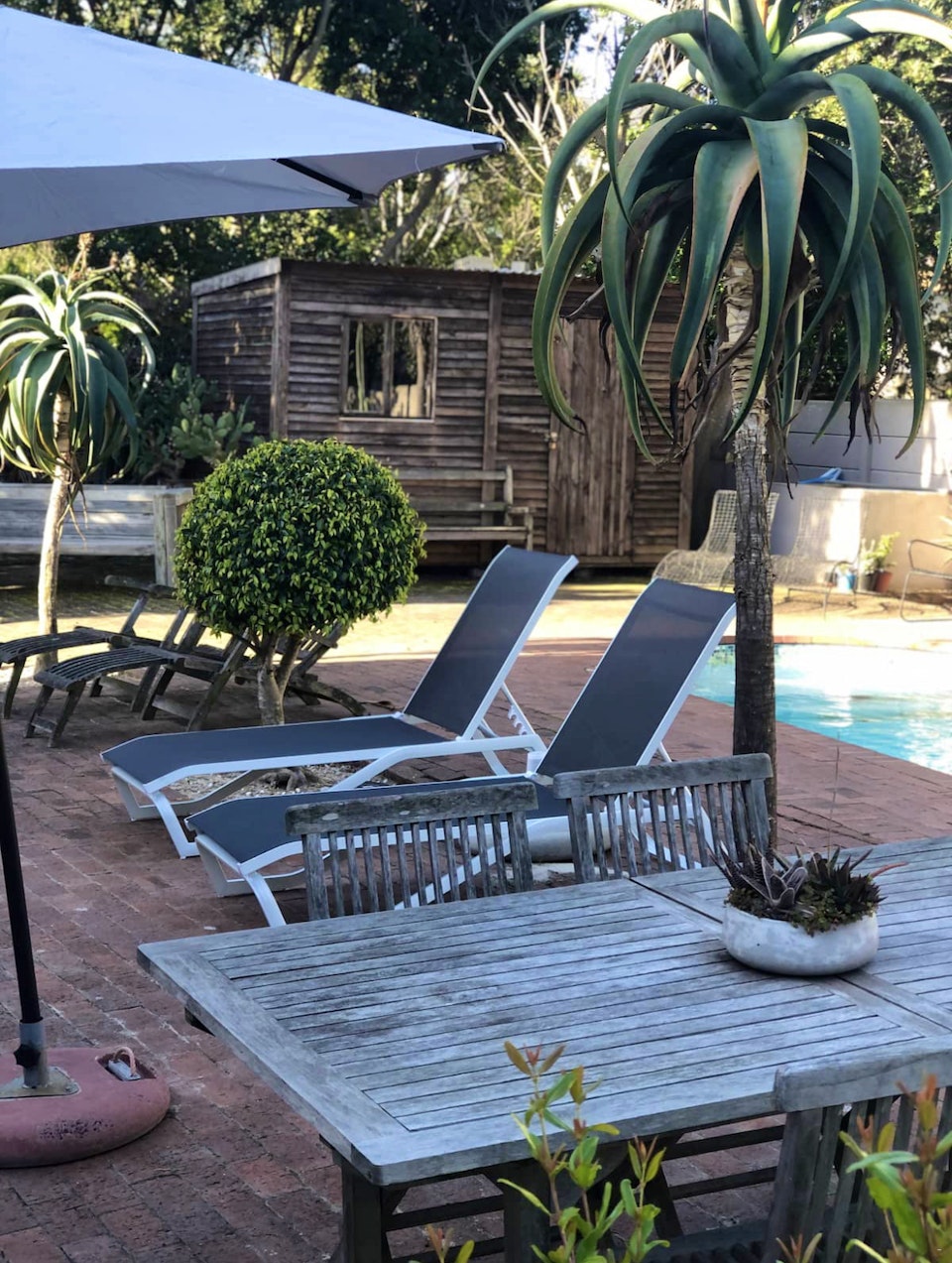 Bloubergstrand Accommodation at  | Viya