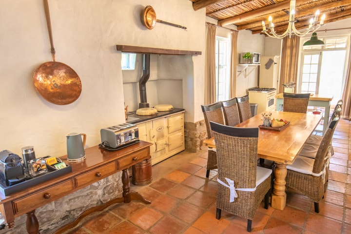 Cape Winelands Accommodation at Klein Nektar Wine & Olive Estate | Viya