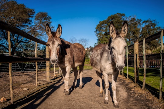 Overberg Accommodation at  | Viya