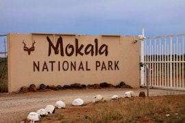 Northern Cape Accommodation at SANParks Haak-en-Steek Rest Camp | Viya