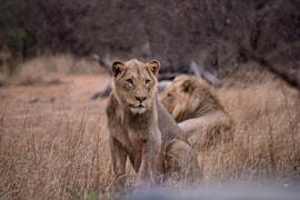 Kruger To Canyons Accommodation at Tshukudu Game Lodge | Viya