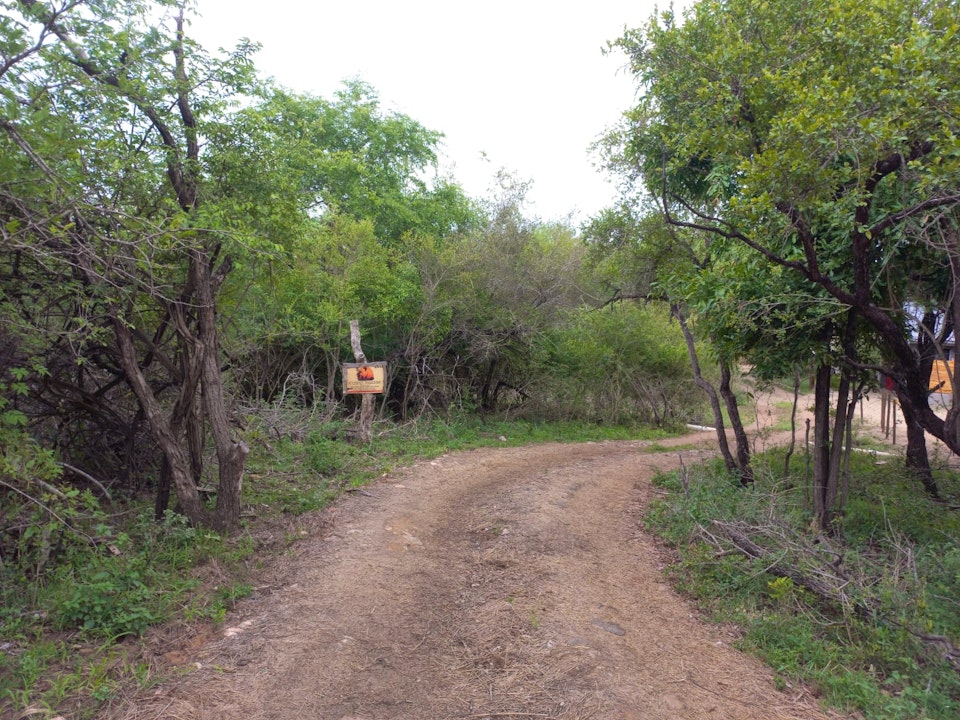 Kruger National Park South Accommodation at  | Viya