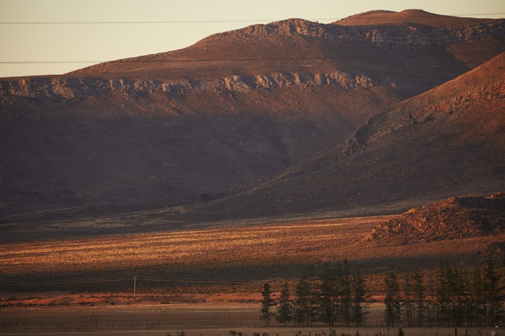 Western Cape Accommodation at Rangers Reserve | Viya