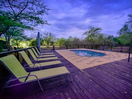 Limpopo Accommodation at Predator Track | Viya