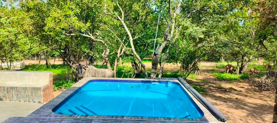 Kruger National Park South Accommodation at  | Viya