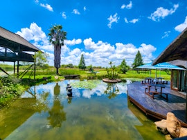 Limpopo Accommodation at Ditholo Game Lodge | Viya