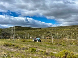 Western Cape Accommodation at Porcupine Peak Farm | Viya