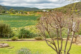 Garden Route Accommodation at Huis Oppie Rant | Viya