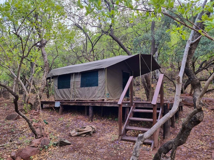 Loskop Valley Accommodation at Waterfall Safari Lodge | Viya