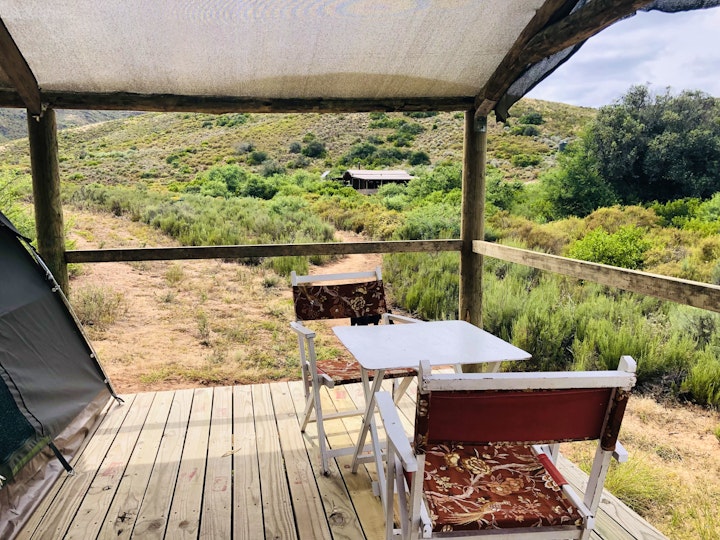 Overberg Accommodation at Rapha Eco Bushcamp | Viya