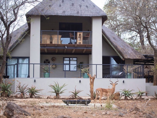 Kruger National Park South Accommodation at  | Viya