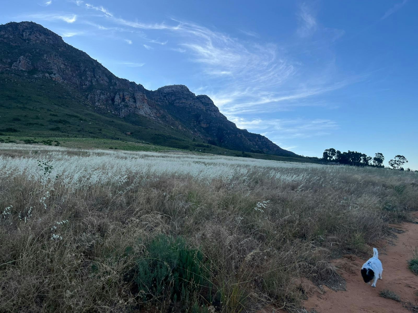Kasteelberg View image no 17 of 17