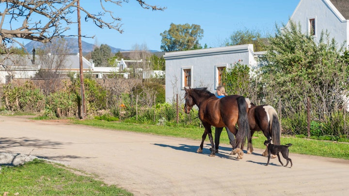 Overberg Accommodation at La Galleria Cottage Retreat | Viya