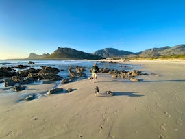 Overberg Accommodation at Pringle Bay Beach Villa - WarieSeeSing | Viya