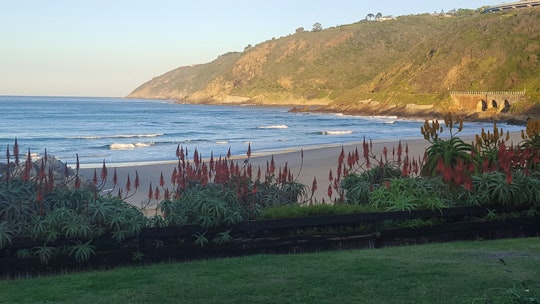 Garden Route Accommodation at  | Viya