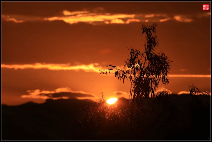 Drakensberg Accommodation at The Fat Mulberry Guest Farm | Viya