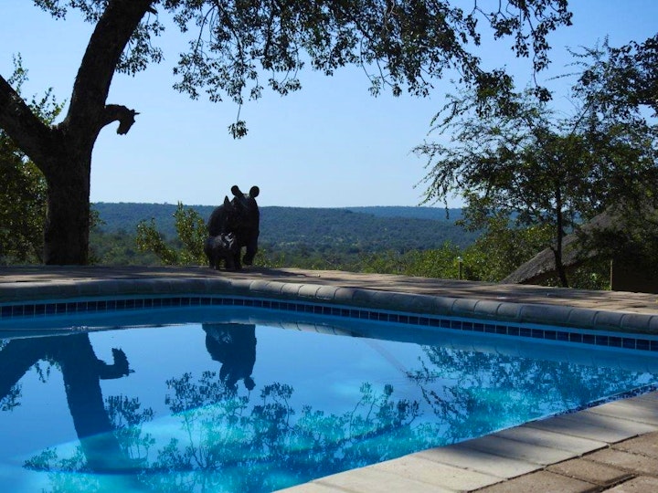 Limpopo Accommodation at Balule Bushveld Safari Lodge | Viya