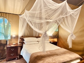 Kruger National Park South Accommodation at  | Viya