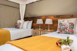 Cradle Of Humankind Accommodation at Idwala Le Ingwe Luxury Tent 02 | Viya