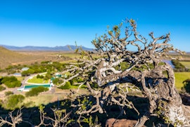 Eastern Cape Accommodation at Kransplaas | Viya